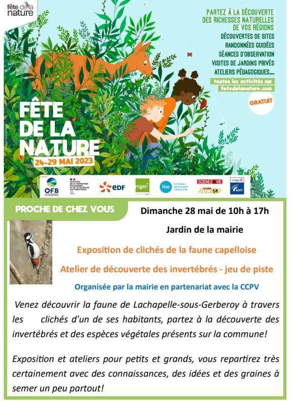 Image site mairie