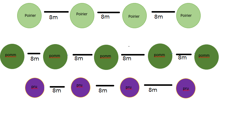 Plan terrain communal 1